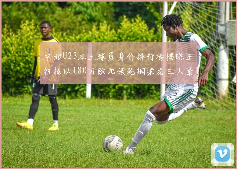 中超U23本土球员身价排行榜揭晓王钰栋以180万欧元领跑铜梁龙三人紧随其后